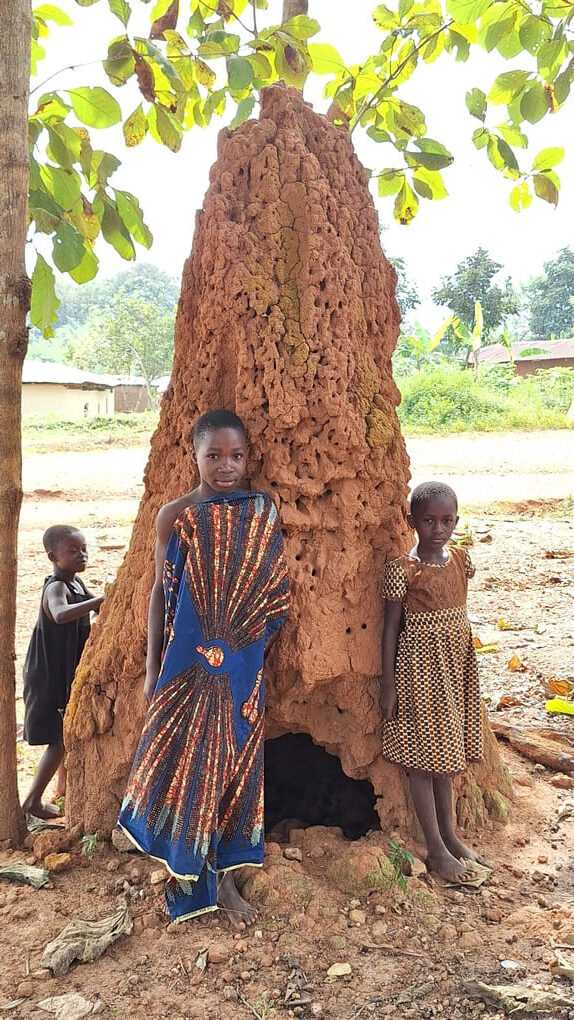 Kinder mit einem Termitenbau